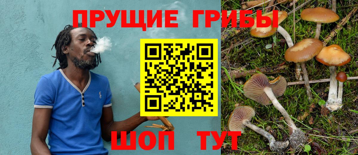 Галлюциногенные грибы GOLDEN TEACHER  Псилоцибиновые грибы Magic Shrooms  закладки  Малгобек  Вход с VPN 