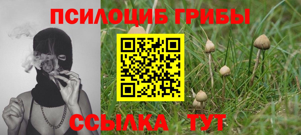 Псилоцибиновые грибы MAGIC MUSHROOMS Малгобек